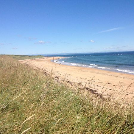 Coastal Cottage Ideal For Golf, Walking And Cycling Kingsbarns Exterior foto